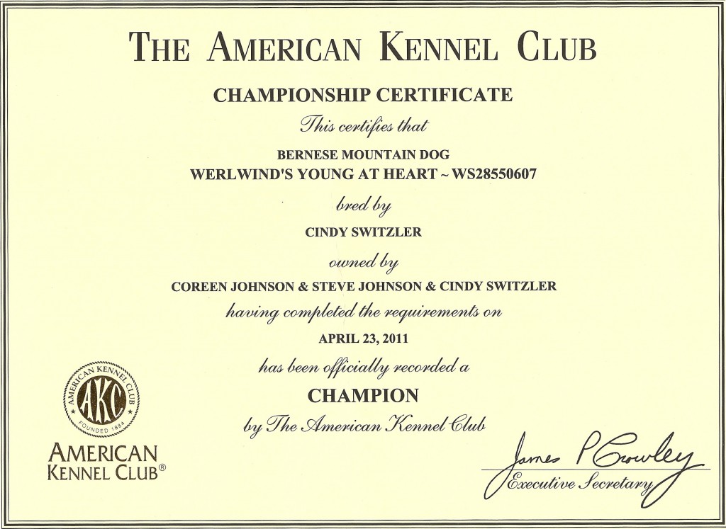 AKC-Championship-Certificate-1024x747