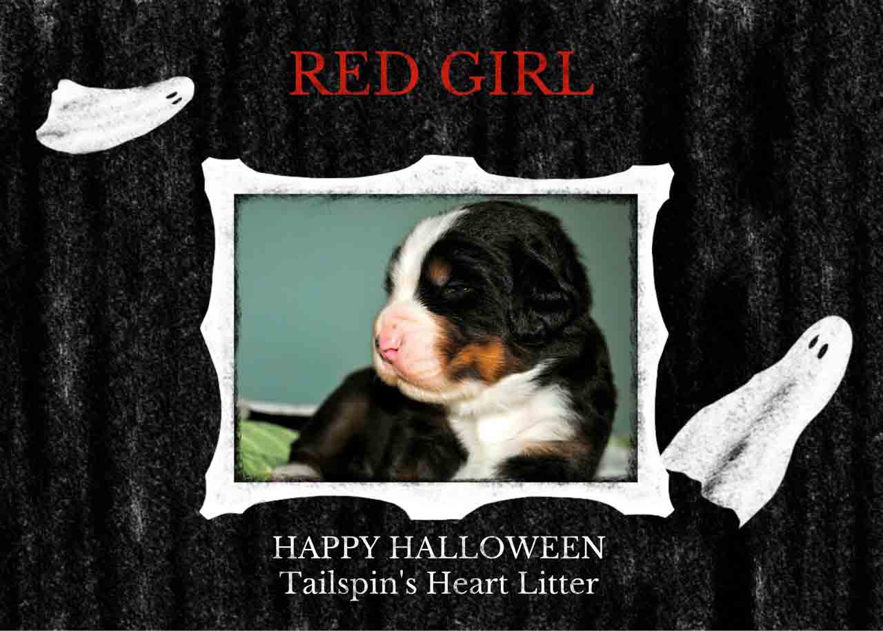 RED-GIRL