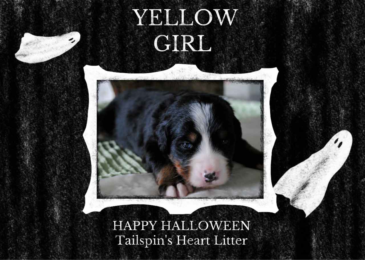 YELLOW-GIRL